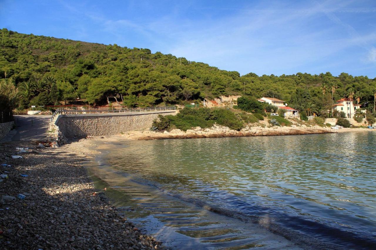 Apartments By The Sea Milna, Vis - 8896 Exterior photo